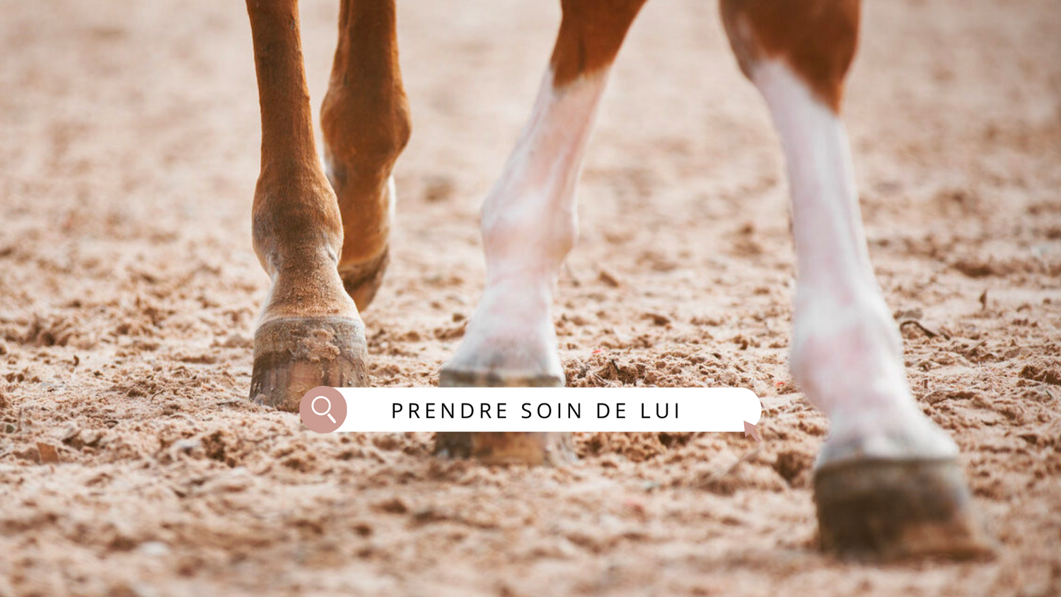 Comment soigner la gale de boue de mon cheval ?