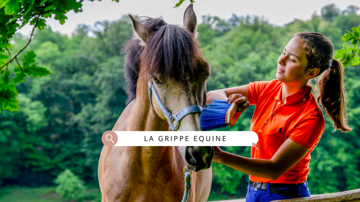 Protégez votre cheval : comprendre la grippe équine et comment la prévenir
