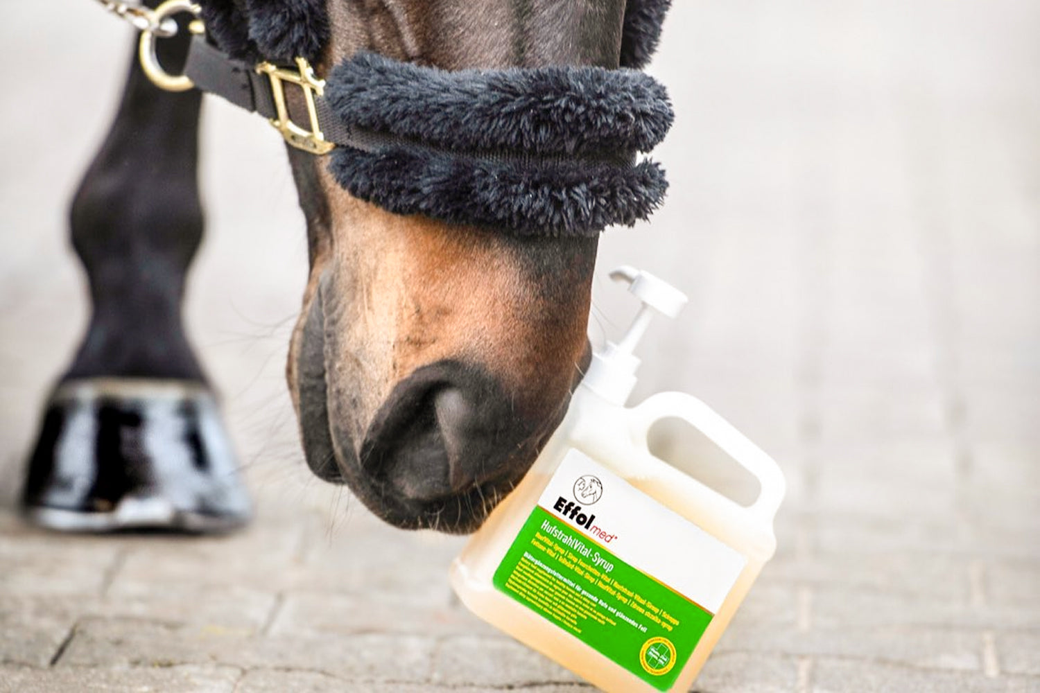 Effol Spray Désinfectant pour les Mains, 500 ml - Boutique Equus