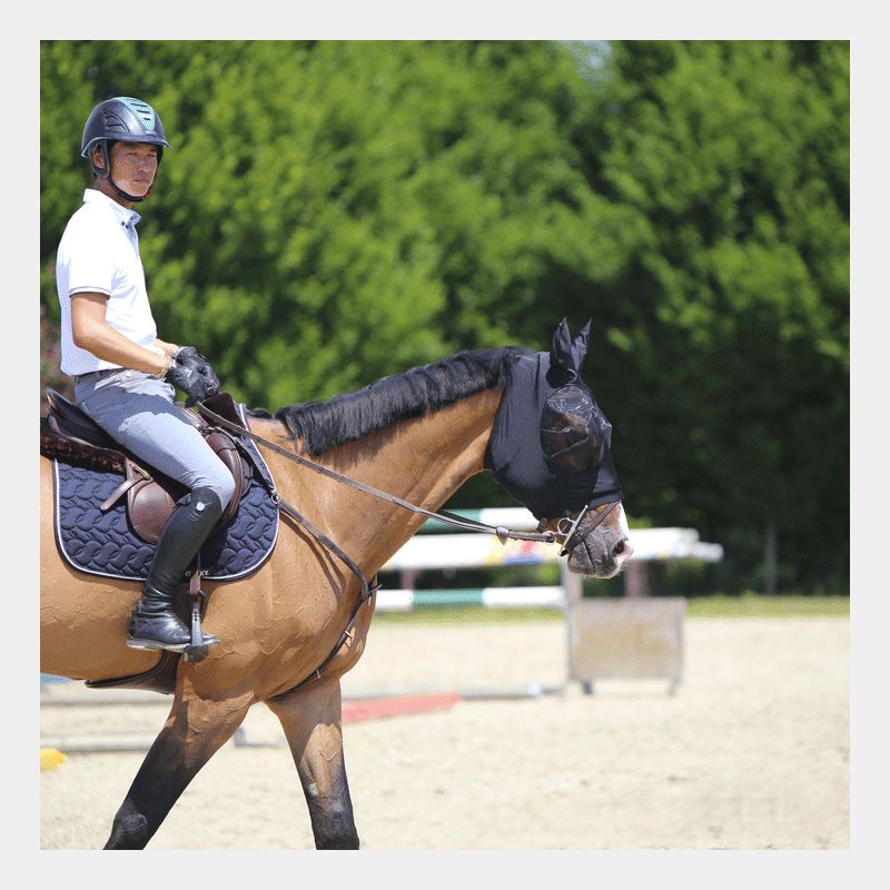 Kentucky Horsewear - Masque anti-mouches Slim Fit | - Ohlala