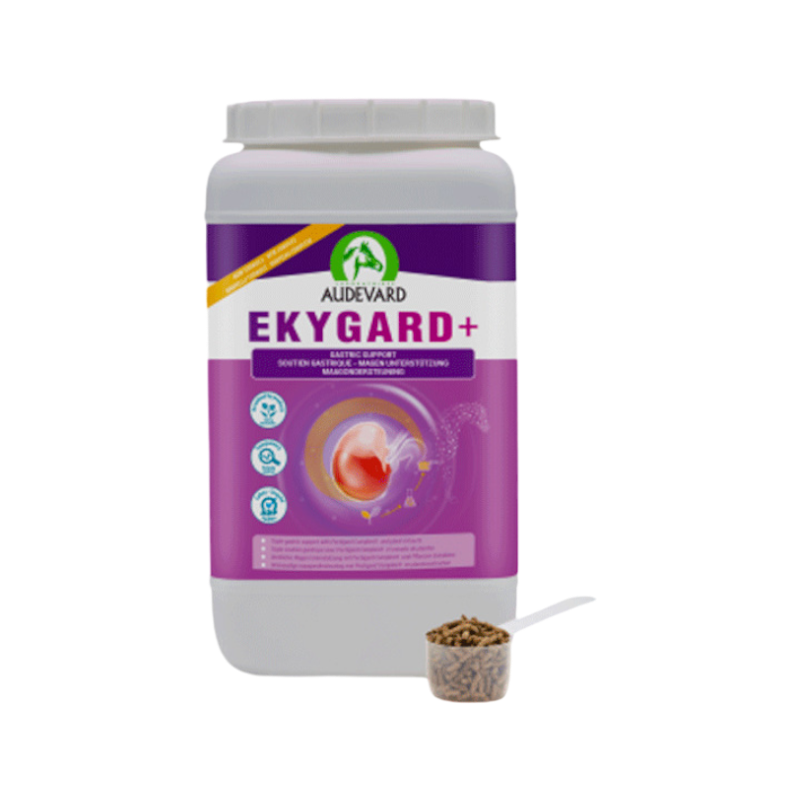 Audevard - Complément alimentaire granule protection gastrique Ekygard+