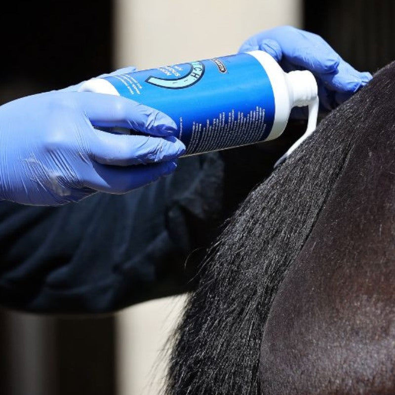 Carr & Day & Martin - Lotion Killitch dermite estivale