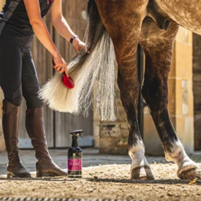 Carr & Day & Martin - Lotion crinière et queue Canter