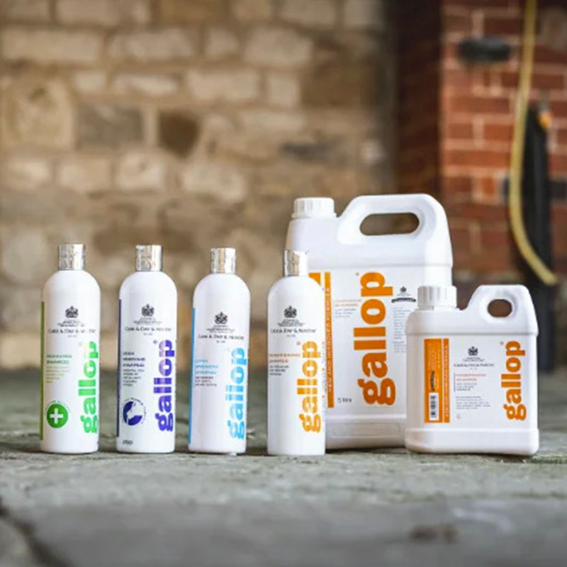 Carr & Day & Martin - Shampoing anti-bactérien Gallop