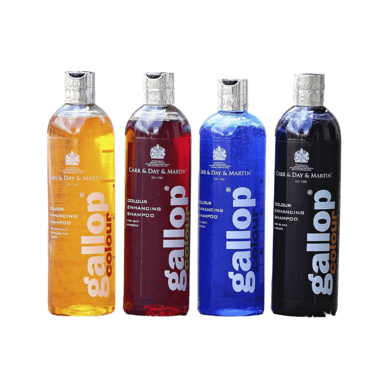 Carr & Day & Martin - Shampoing pour chevaux bai Gallop