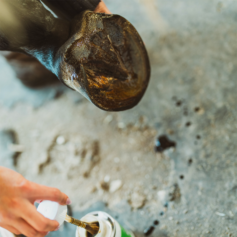 Cura Naturale - Huile sabots abîmés