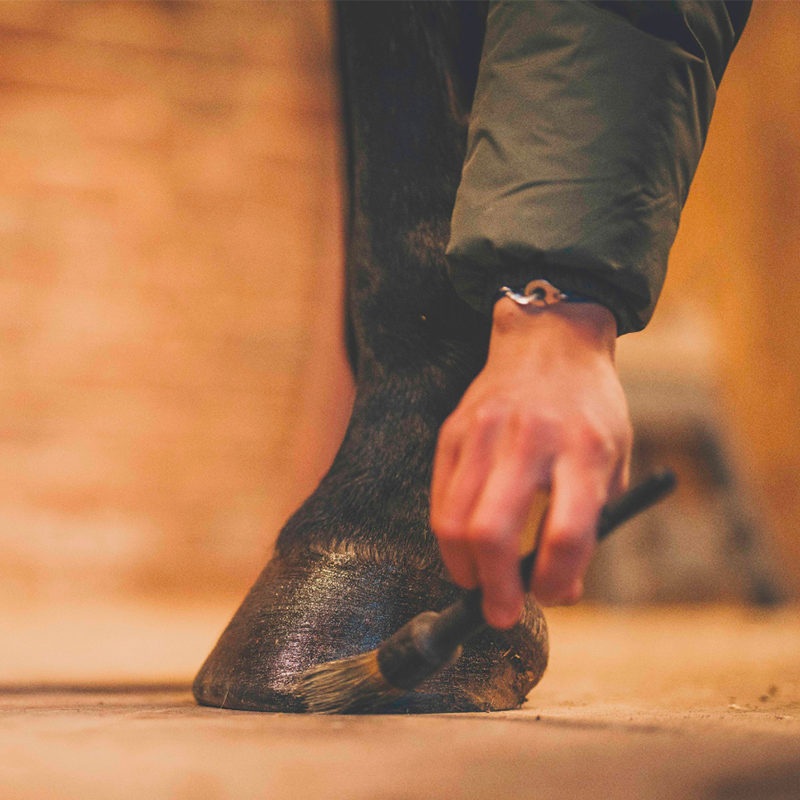 Cura Naturale - Onguent sabots humides noir