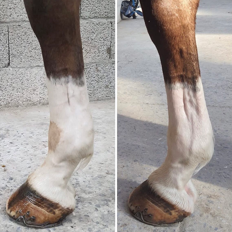 Cura Naturale - Argile après effort