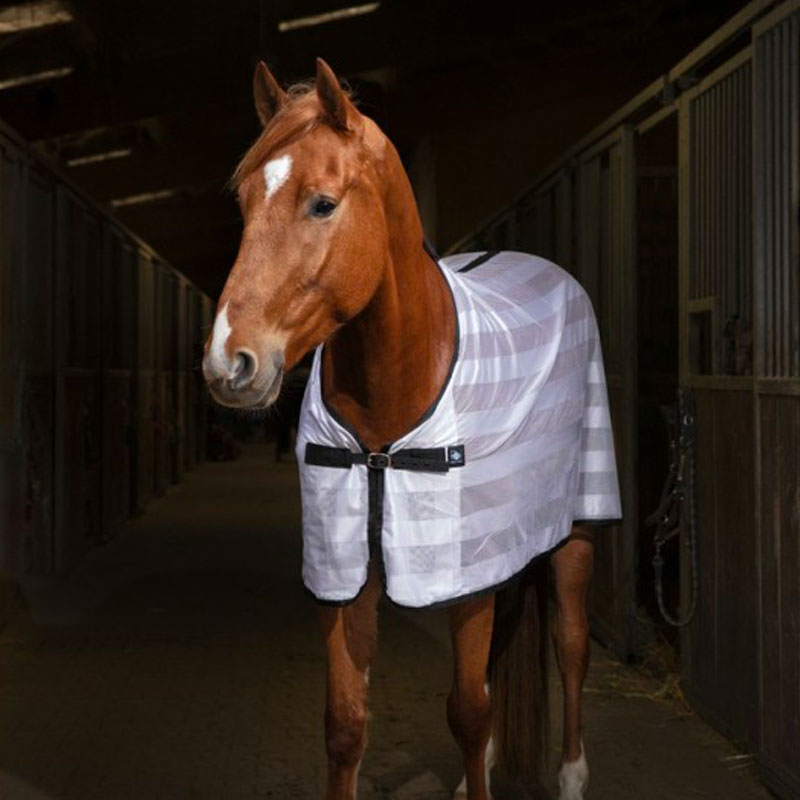 Riding World - Chemise filet Mesh blanc | - Ohlala