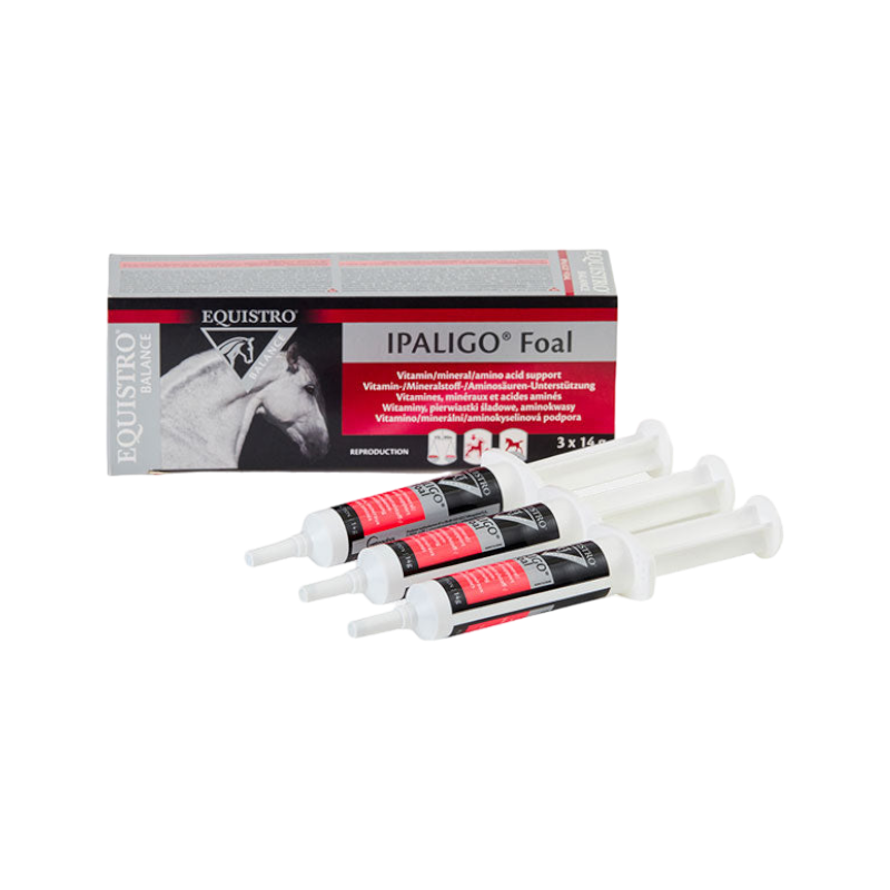 Equistro - Complément alimentaire seringue vitamine Ipaligo foal