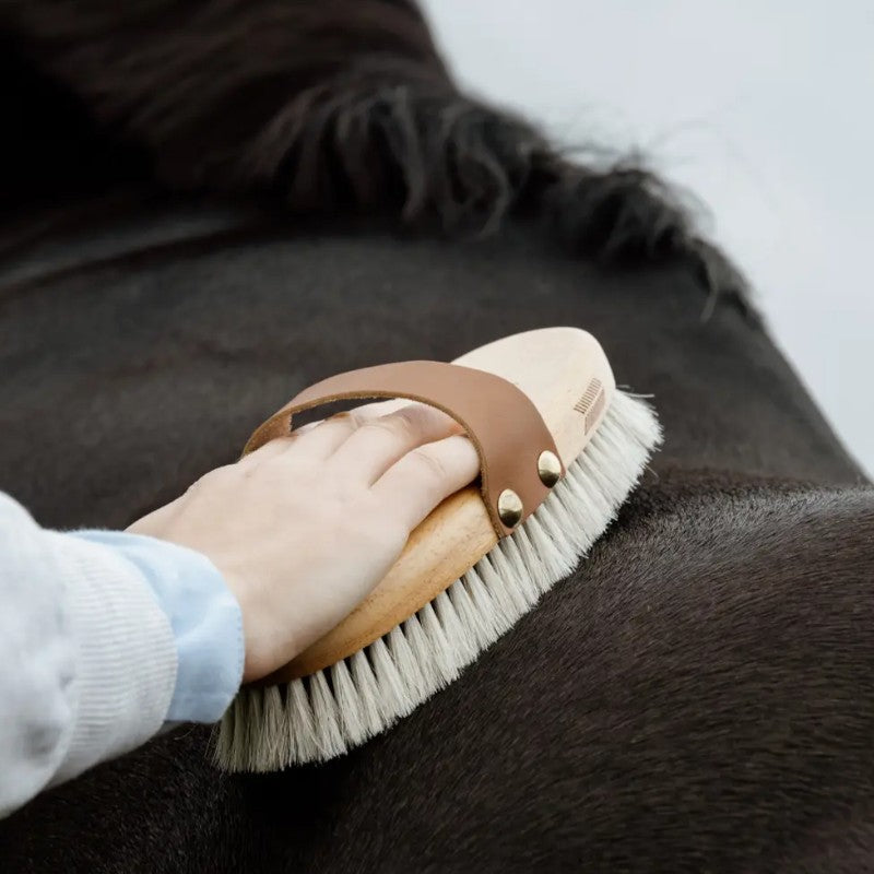 Grooming Deluxe - Brosse douce brillance