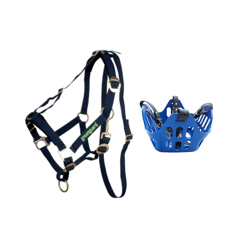 Greenguard - Pack panier et licol thérapeutique bleu