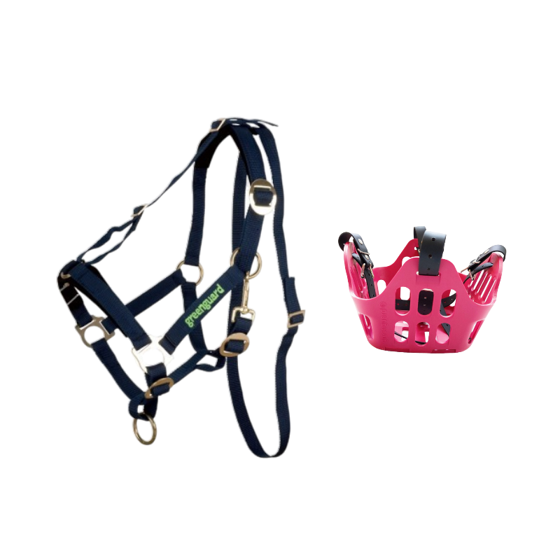 Greenguard - Pack panier et licol thérapeutique rose