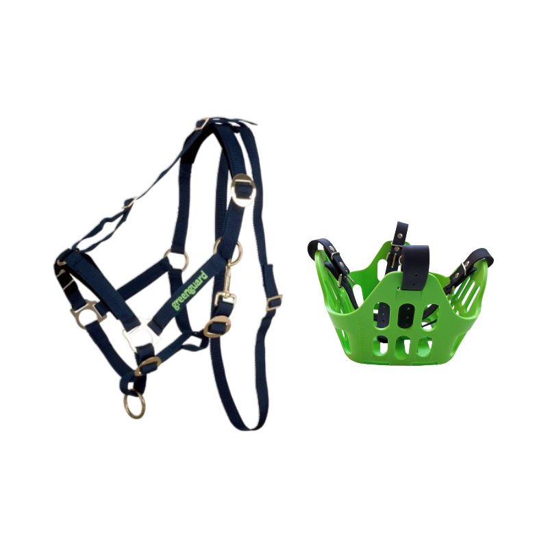 Greenguard - Pack panier et licol thérapeutique vert