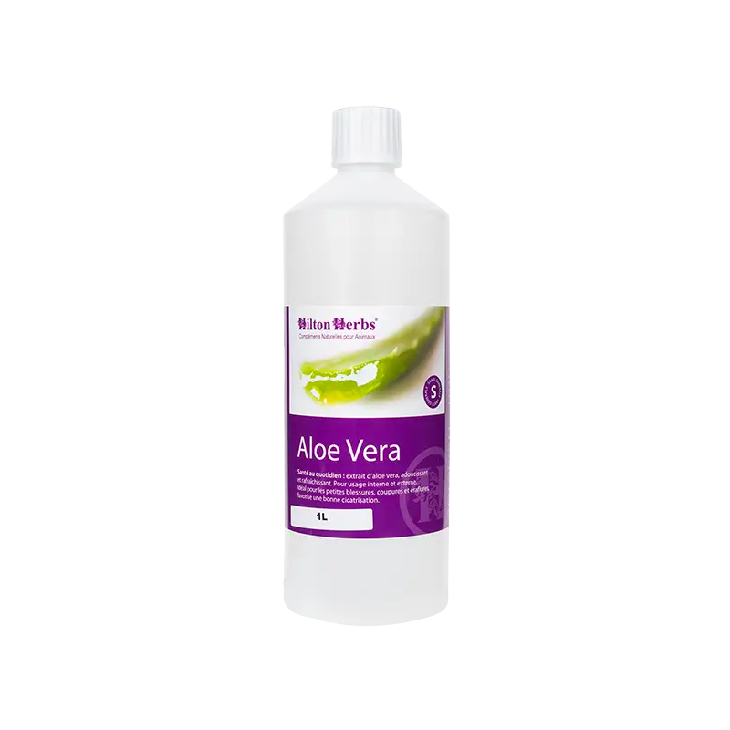 Hilton Herbs - Gel Aloe vera interne ou externe