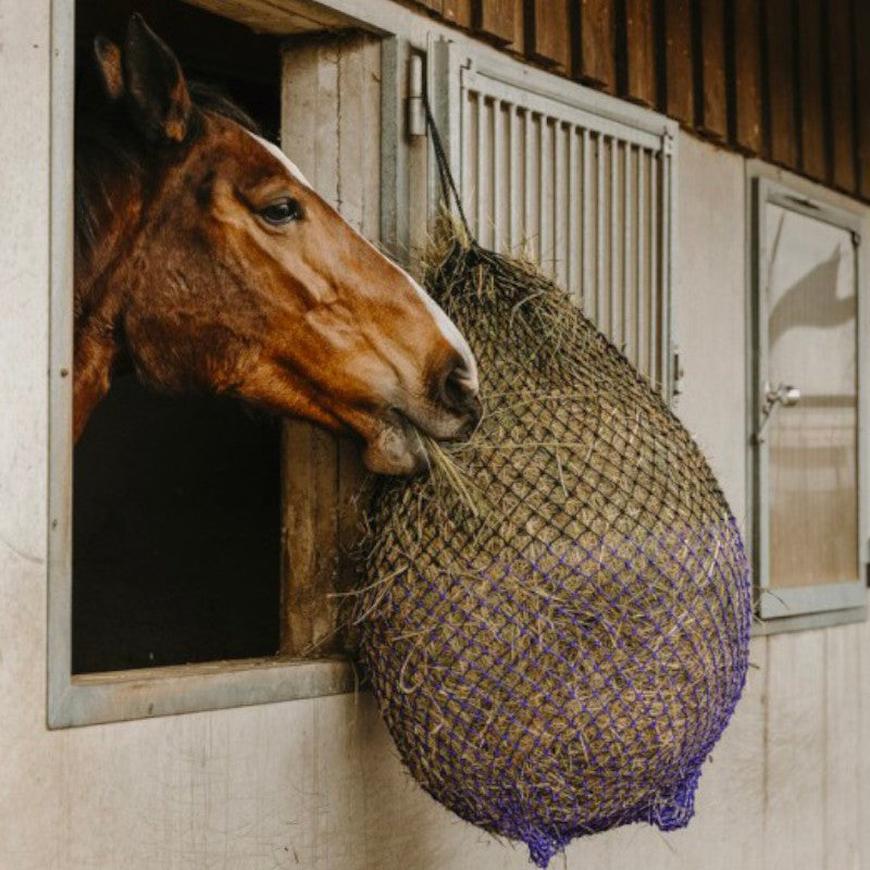 Hippotonic - Fliet à foin fin noir et violet