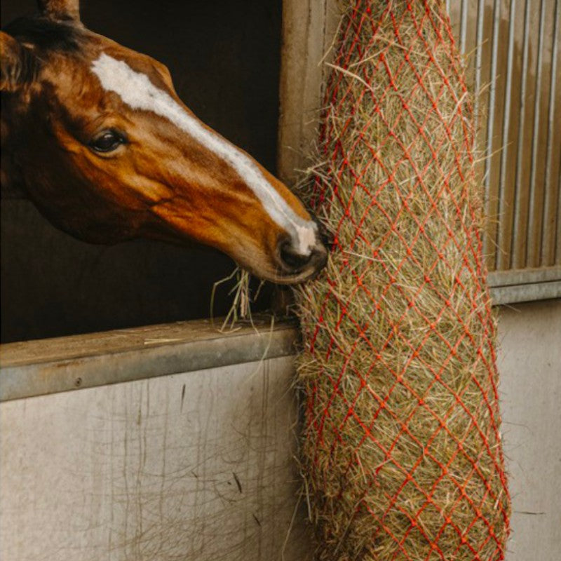 Hippotonic - Filet à foin long rouge