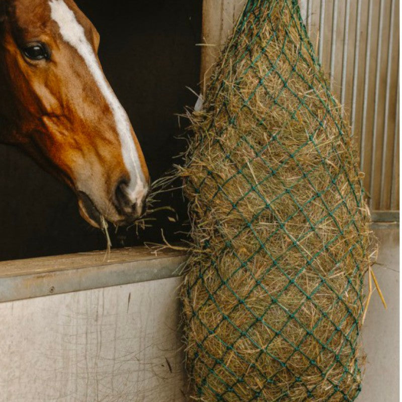 Hippotonic - Filet à foin long vert