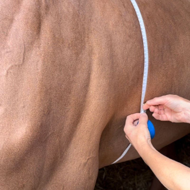 Hippotonic - Ruban de mesure zoométrique