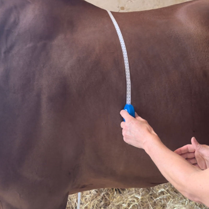 Hippotonic - Ruban de mesure zoométrique