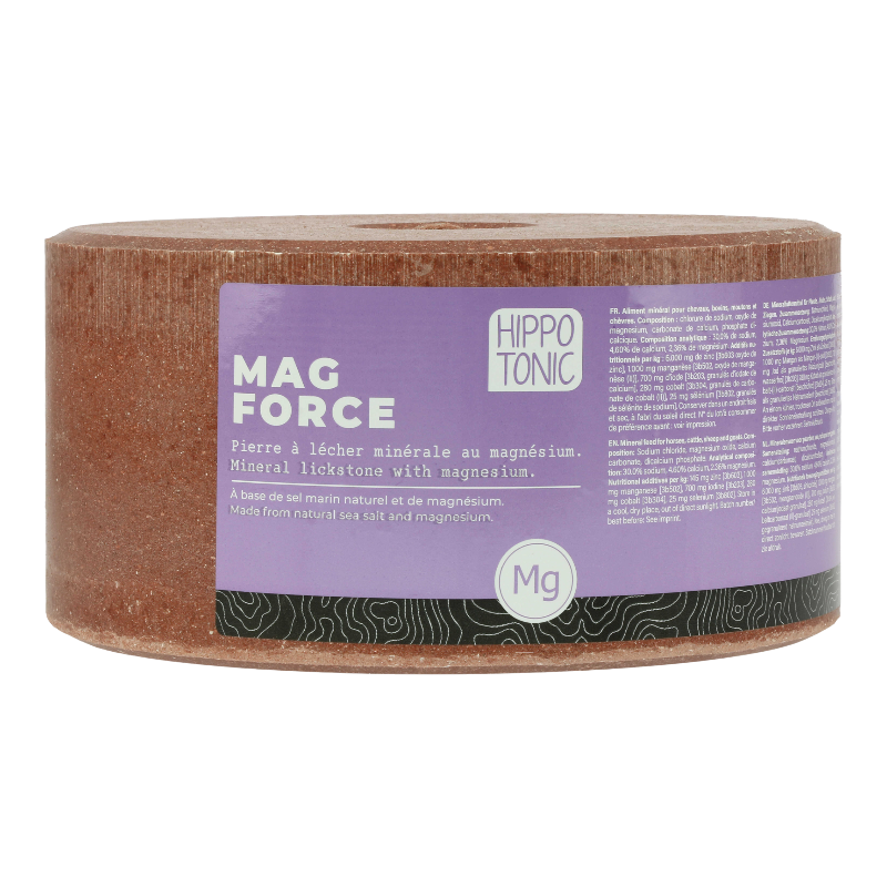 Hippotonic - Pierre à sel Magforce 3kg
