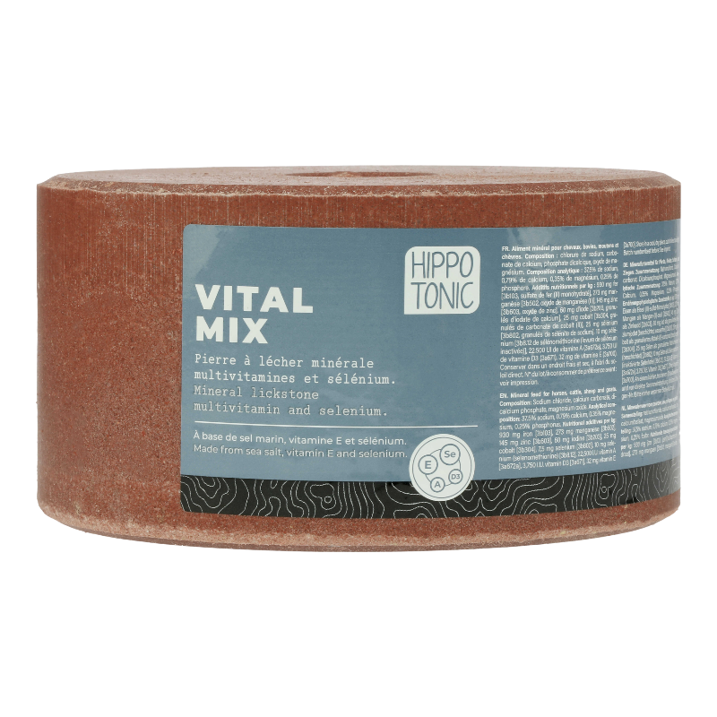 Hippotonic - Pierre à sel Vitalmix 3kg