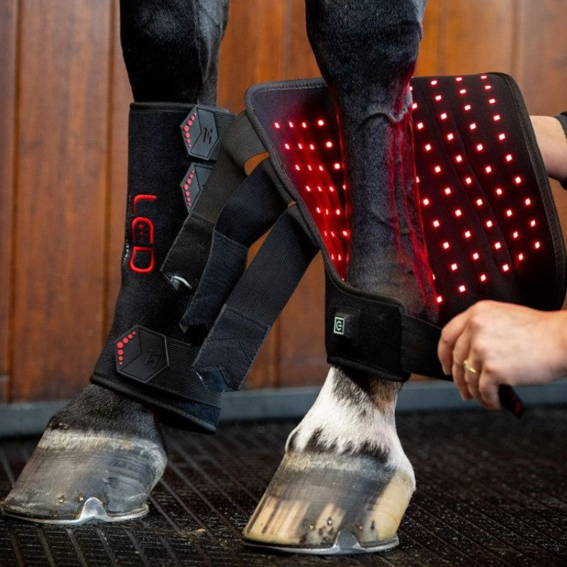 Horseware - Guêtres thérapeutiques lumière rouge LED (x1)