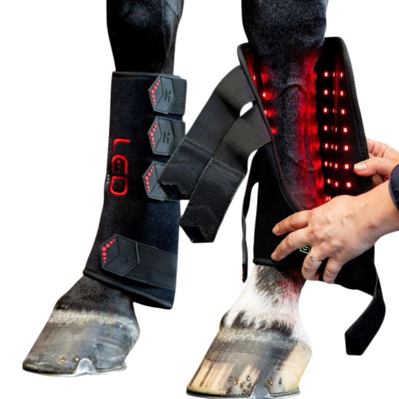 Horseware - Guêtres thérapeutiques lumière rouge LED (x1)