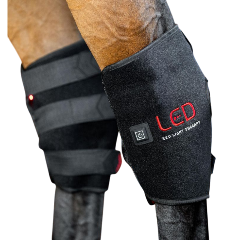 Horseware - Protège-jarret thérapeutique lumière rouge LED (x1)
