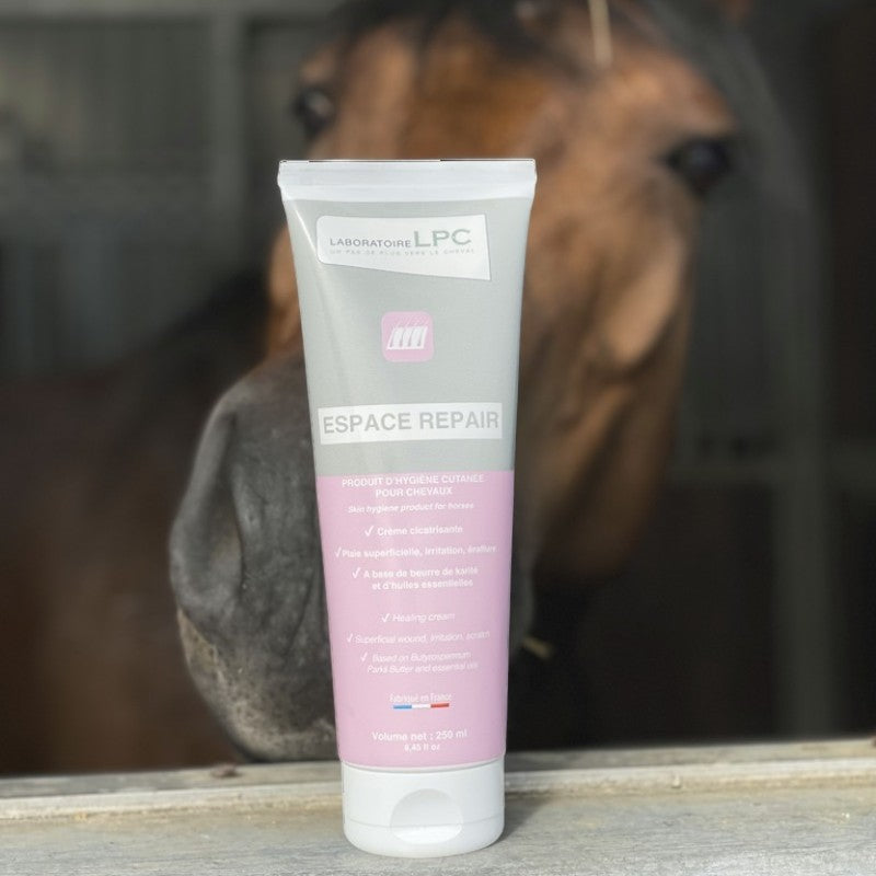 Laboratoire LPC - Espace Repair