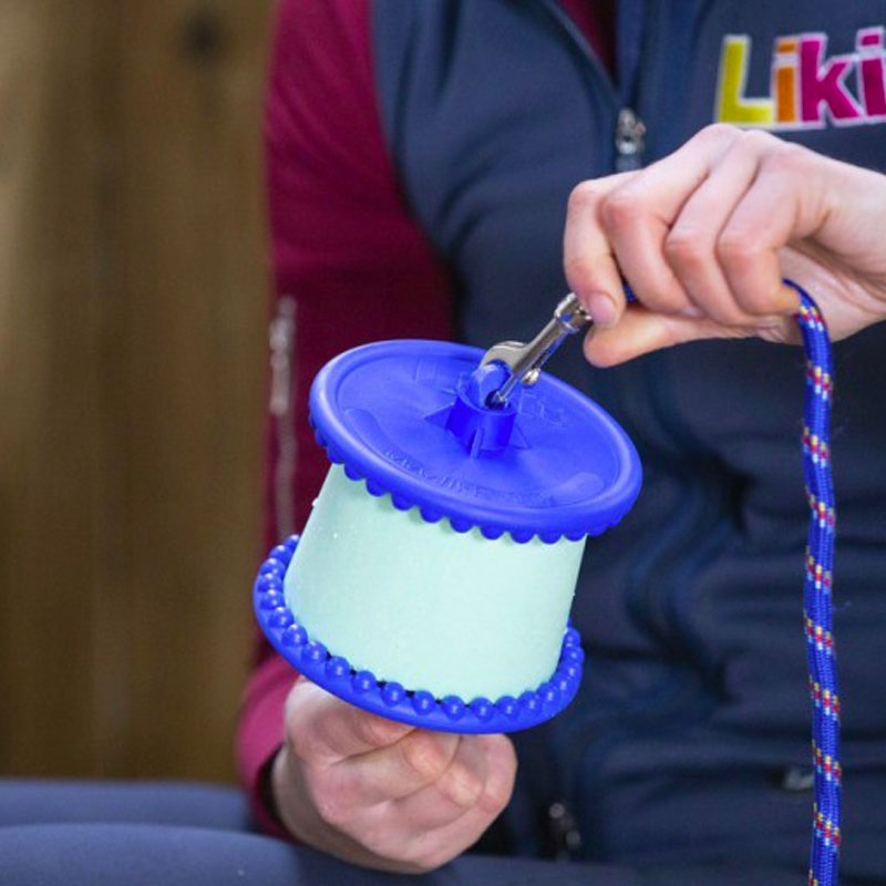 Likit - Support de pierres à sel divertissant