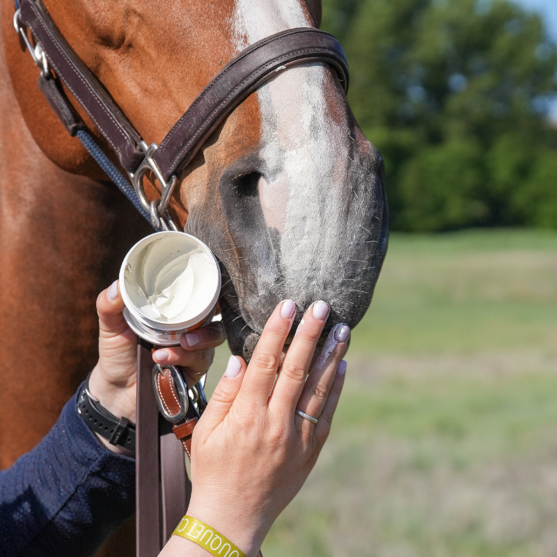 Natural' Innov - Crème solaire pour chevaux Natural'Sun