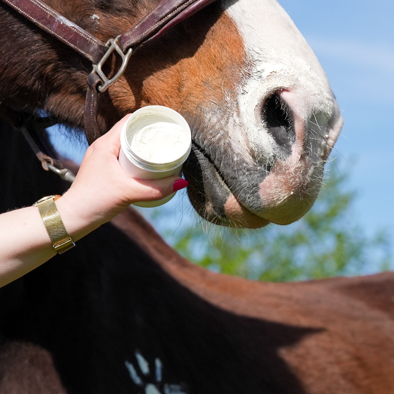 Natural' Innov - Crème solaire pour chevaux Natural'Sun