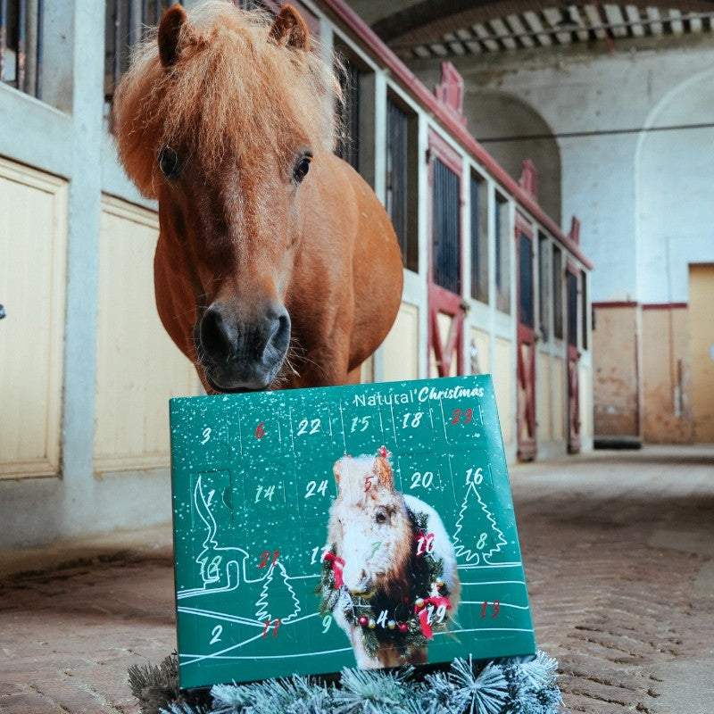 Natural' Innov - Calendrier de l'avent Natural'Christmas Gourmet 2025