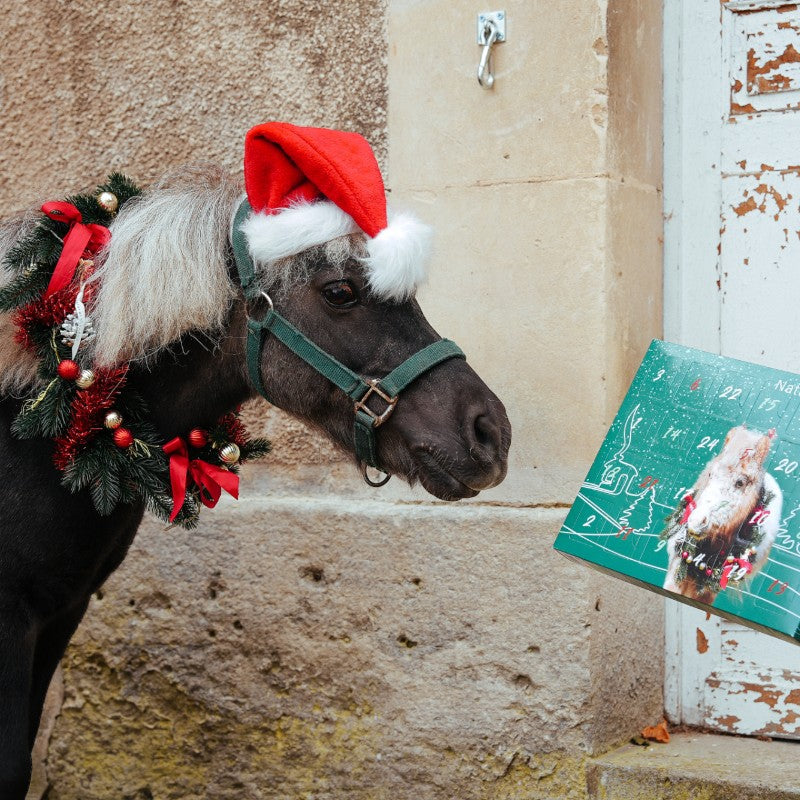 Natural' Innov - Calendrier de l'avent Natural'Christmas Gourmet 2025
