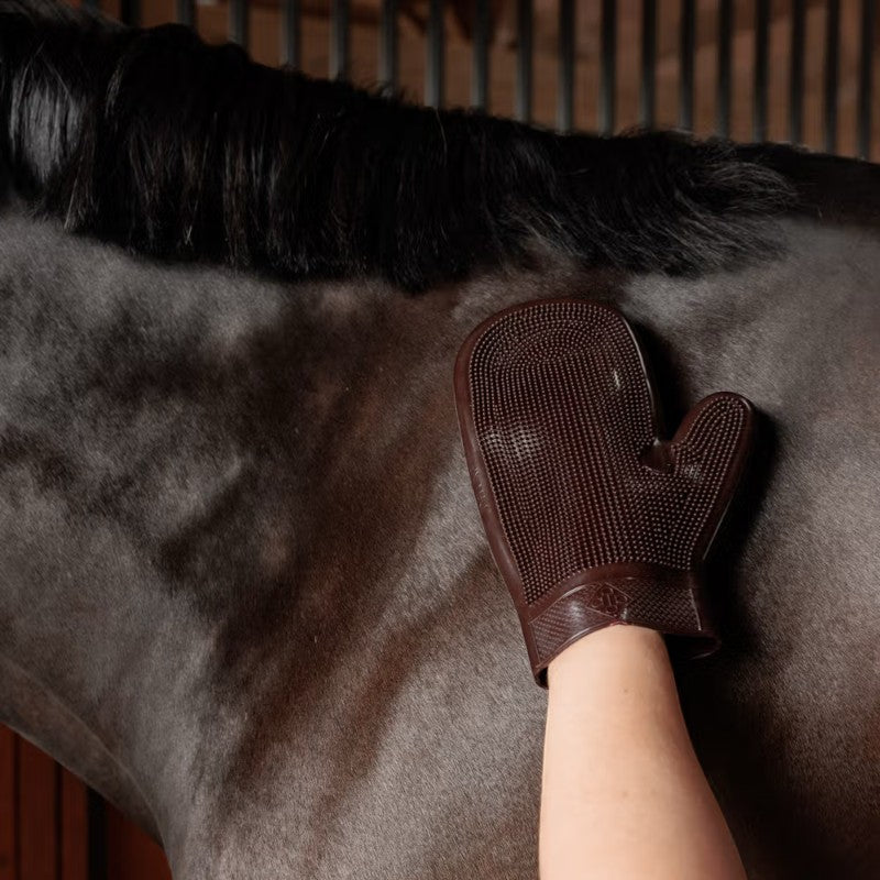 Grooming Deluxe - Gant de Grooming en caoutchouc brun