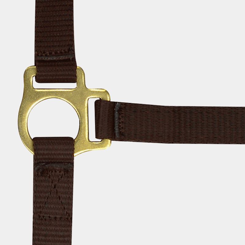 Norton - Licol foal + longe brun | - Ohlala