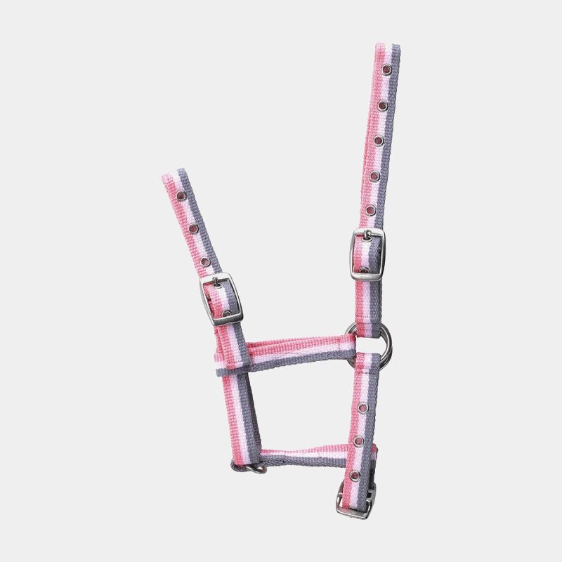 Licol foal reglable gris/rose | - Ohlala