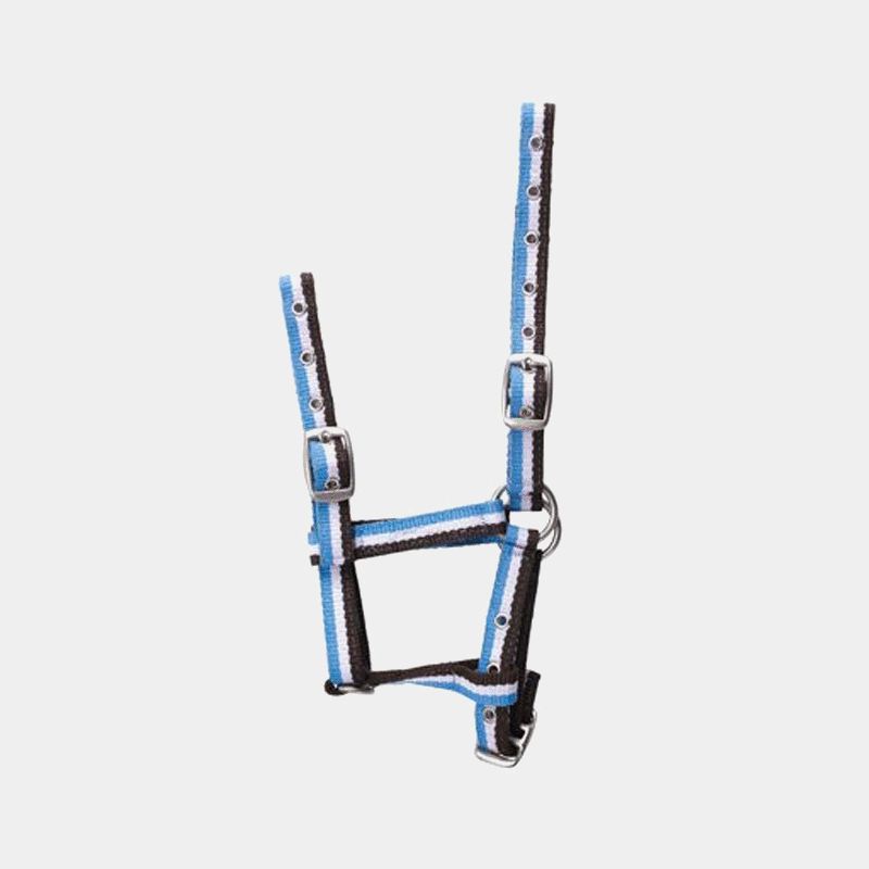 Norton - Licol pour poulains réglable choco/ blanc/ ciel | - Ohlala