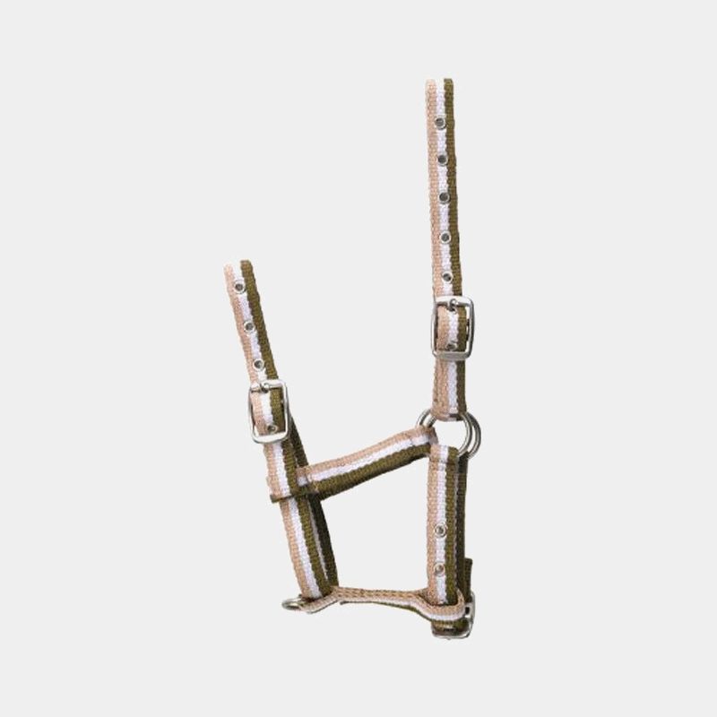 Norton - Licol poulain réglable kaki/ blanc/ beige | - Ohlala