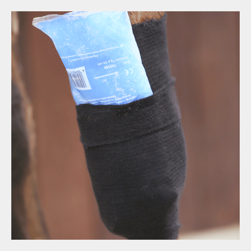 Kentucky Horsewear - Tendon Grip Chaussette | - Ohlala