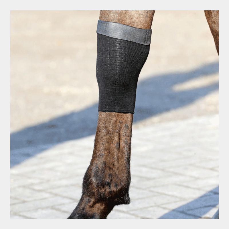 Kentucky Horsewear - Tendon Grip Chaussette Gel | - Ohlala