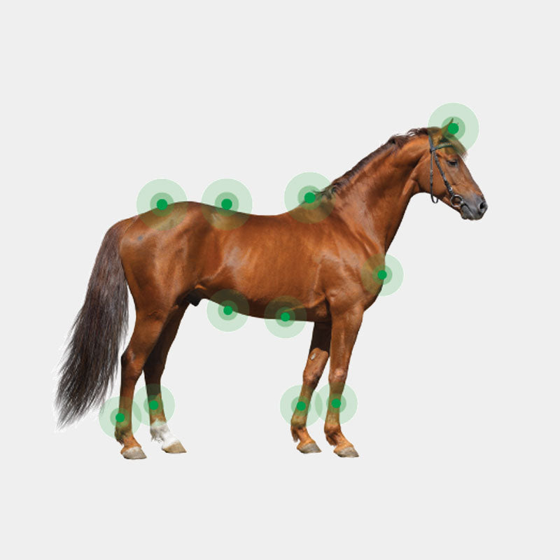 Animaderm - Crème dermite estivale pour peau fine Derfen original