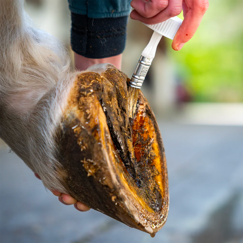 Cura Naturale - Huile sabots sensibles