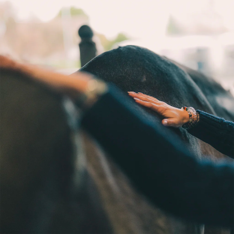 Cura Naturale - Huile confort musculaire