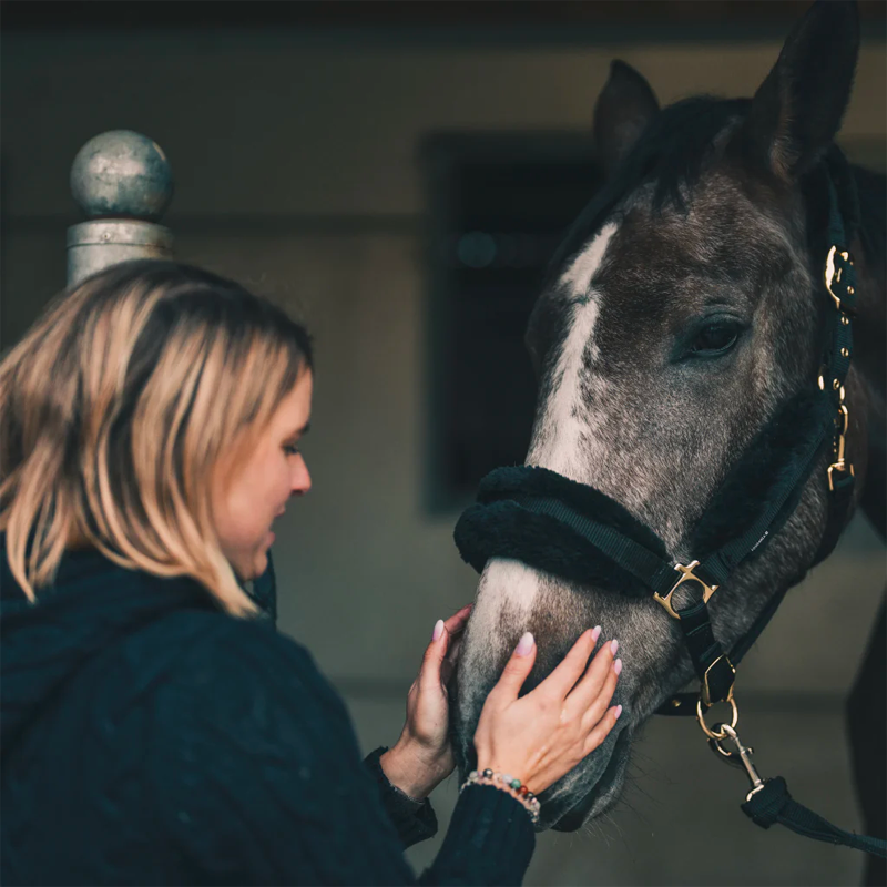 Cura Naturale - Huile relaxante pour chevaux