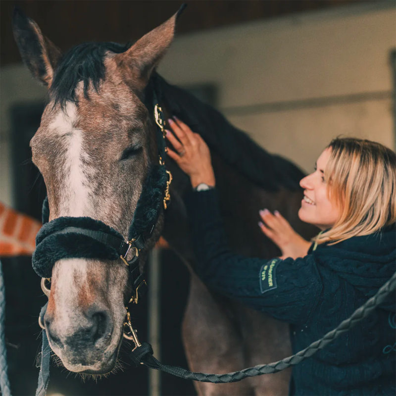 Cura Naturale - Huile relaxante pour chevaux