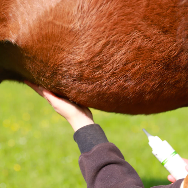 Cura Naturale - Huile répulsive anti-parasites