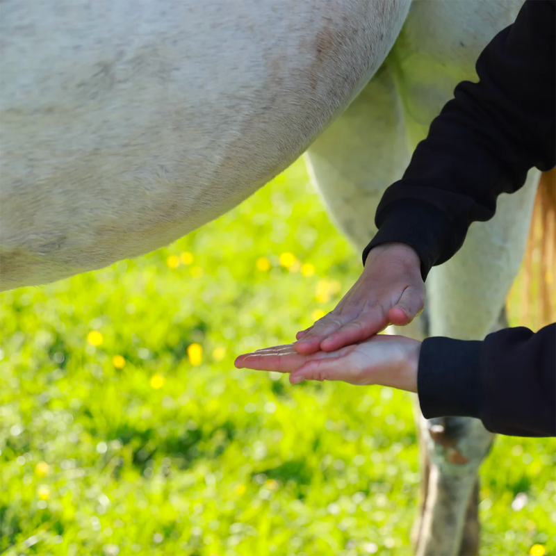 Cura Naturale - Huile confort digestif