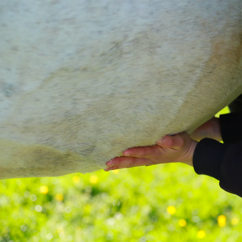 Cura Naturale - Huile confort digestif